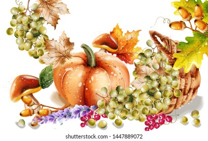 Autumn fall vegetables Vector watercolor. pumpkin harvests illustration