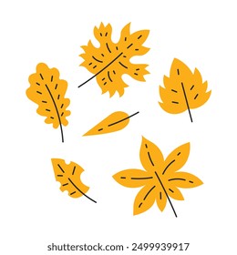 Autumn Fall Yellow Leaf Set. Orange Leaves collection in flat style. Isolated vector illustration for seasonal decoration.
