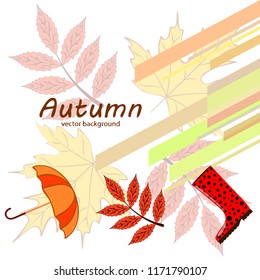 autumn fallen leaf umbrella rubber boot autumnal vector background
