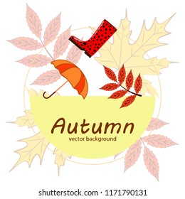 autumn fallen leaf umbrella rubber boot autumnal vector background
