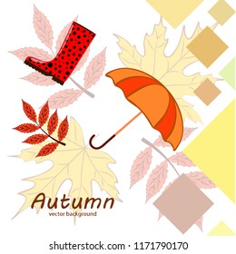 autumn fallen leaf umbrella rubber boot autumnal vector background