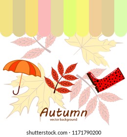 autumn fallen leaf umbrella rubber boot autumnal vector background