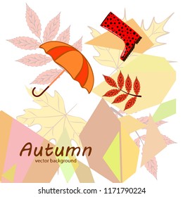 autumn fallen leaf umbrella rubber boot autumnal vector background