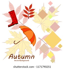 autumn fallen leaf umbrella rubber boot autumnal vector background