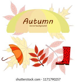 autumn fallen leaf umbrella rubber boot autumnal vector background