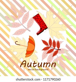 autumn fallen leaf umbrella rubber boot autumnal vector background