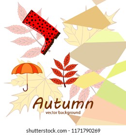 autumn fallen leaf umbrella rubber boot autumnal vector background