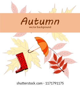 autumn fallen leaf umbrella rubber boot autumnal vector background