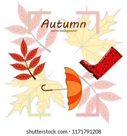 autumn fallen leaf umbrella rubber boot autumnal vector background