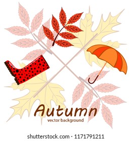 autumn fallen leaf umbrella rubber boot autumnal vector background