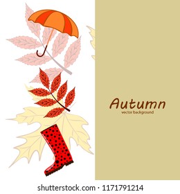 autumn fallen leaf umbrella rubber boot autumnal vector background