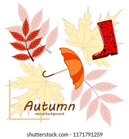 autumn fallen leaf umbrella rubber boot autumnal vector background