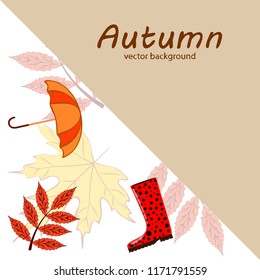 autumn fallen leaf umbrella rubber boot autumnal vector background