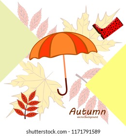 autumn fallen leaf umbrella rubber boot autumnal vector background