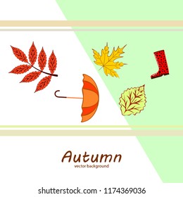 autumn fallen leaf umbrella rubber boot autumnal vector background