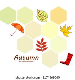 autumn fallen leaf umbrella rubber boot autumnal vector background
