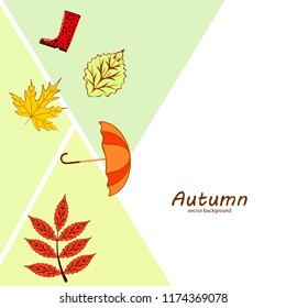 autumn fallen leaf umbrella rubber boot autumnal vector background