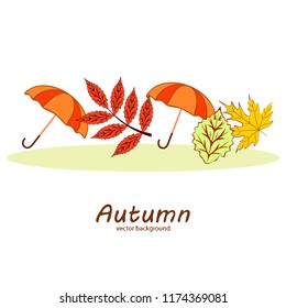 autumn fallen leaf umbrella rubber boot autumnal vector background