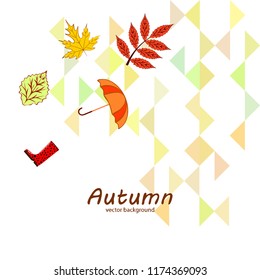 autumn fallen leaf umbrella rubber boot autumnal vector background
