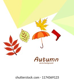 autumn fallen leaf umbrella rubber boot autumnal vector background