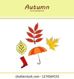 autumn fallen leaf umbrella rubber boot autumnal vector background