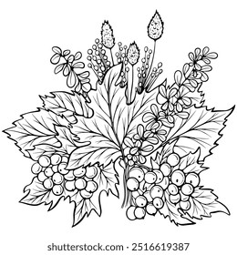 Autumn fallen leaves bouquet. Floral seasonal decor with leaves, branches, rowan berries. Vector illustration in hand drawn sketch style. Line art isolated on white for coloring book, print