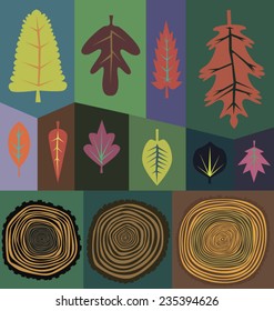 autumn, fallen leaves. growth rings