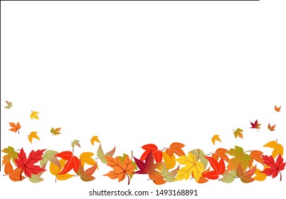 Autumn fallen leaves, isolated on white background.