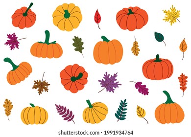 Autumn fallen leaves and pumpkins. Thanksgiving Set, Harvest, Halloween.Vector Illustration