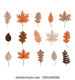 Autumn fallen leaves set. Maple, oak, and birch leaves isolated on a white background. Vector illustration in a flat style. Elements for autumn design. vector illustration 