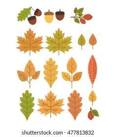 Autumn fallen leaves vector icon set.