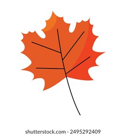Autumn fallen orange leaf. A leaf of a tree. Flat vector illustration.