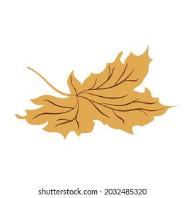 Autumn Fallen yellow maple leaf. Vector illustration isolated on a white. Autumn symbol.