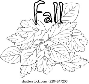 Autumn falling branch of a tree leaves hand drawn illustration vector sketch coloring page and book.