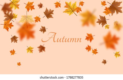 Autumn falling down background. Modern vector background decoration with autumn leaf element. Perfect for social media post, banner, background and internet ads