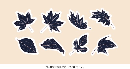 Autumn falling foliage vector botanical illustration. Hand drawn sticker set