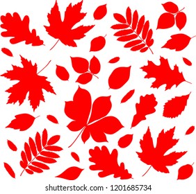 Autumn falling leaves background