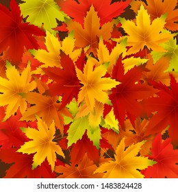 Autumn falling leaves background template with red, orange, brown and yellow maple leaves. Vector illustration poster, frame, web banner