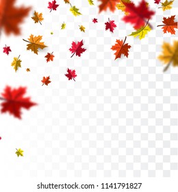 Autumn falling leaves background  Vector template.