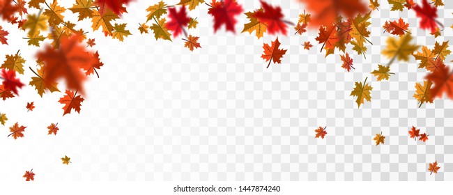 Autumn falling leaves background  Vector template.