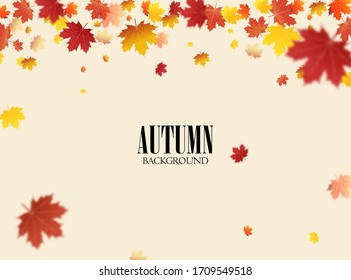 Autumn falling leaves background Vector template. Leaf vector