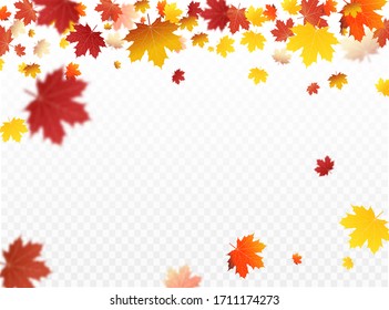 Autumn Falling Leaves Background Vector Template. Leaf Vector