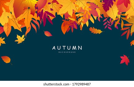 Autumn falling leaves background  Vector template.