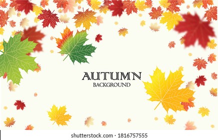 Autumn falling leaves background Vector template. Leaf vector