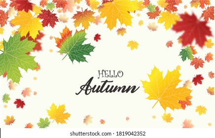 Autumn falling leaves background Vector template. Leaf vector