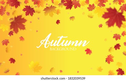 Autumn falling leaves background Vector template. Leaf vector