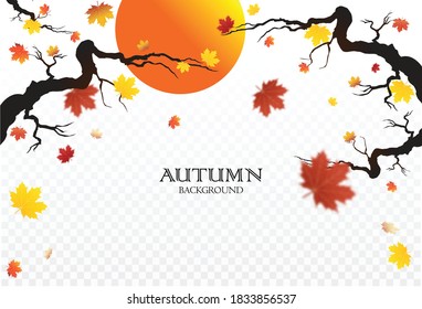 Autumn falling leaves background Vector template. Leaf vector