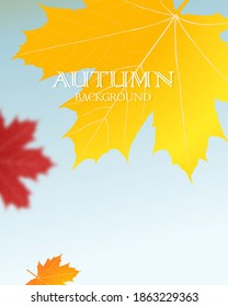 Autumn falling leaves background Vector template. Leaf vector