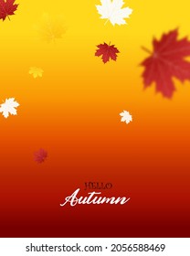 Autumn falling leaves background Vector template. Leaf vector
