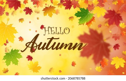 Autumn falling leaves background Vector template. Leaf vector